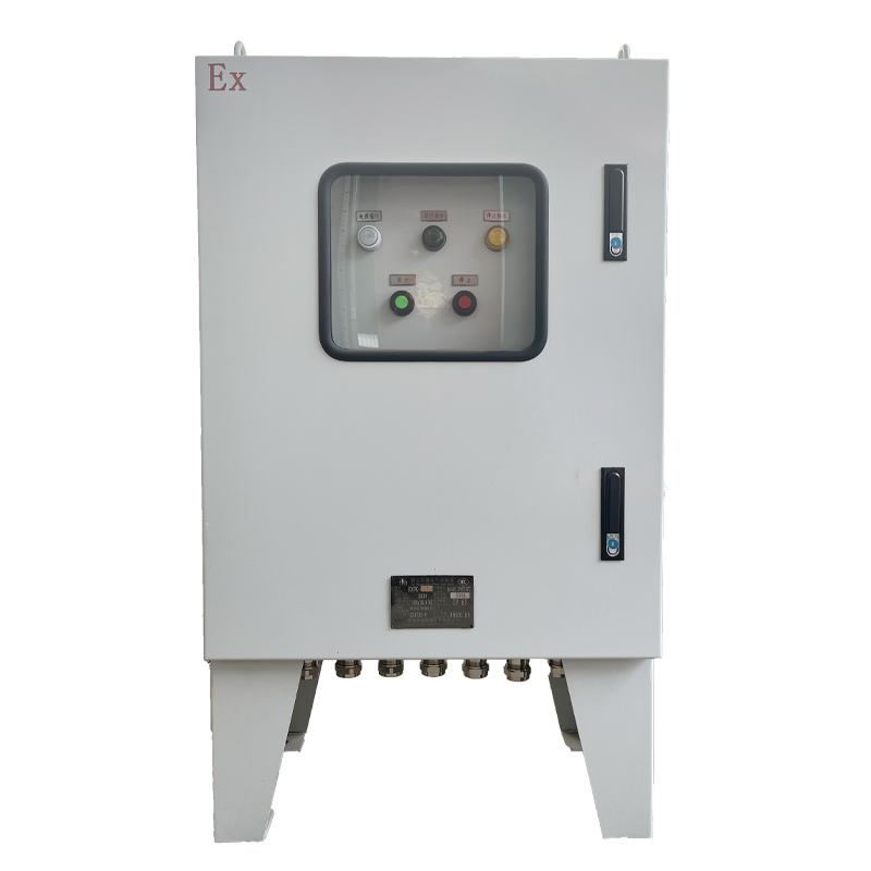 粉塵防爆控制箱圖片
